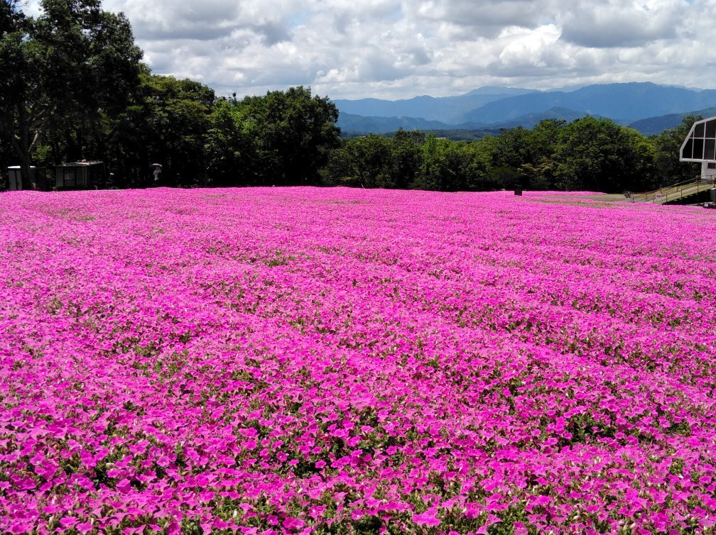 Hirugano Kogen Ski Areas-郡上市必去景点
