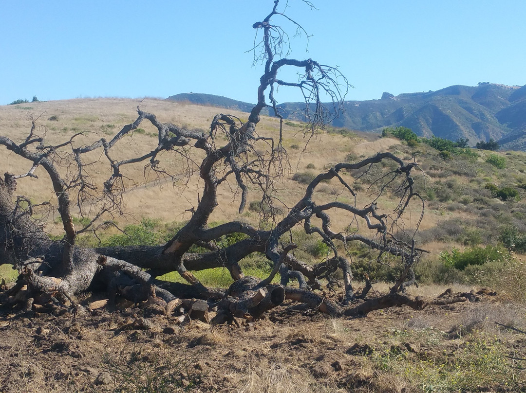 Rocky Peak Trail-西米谷必去景点