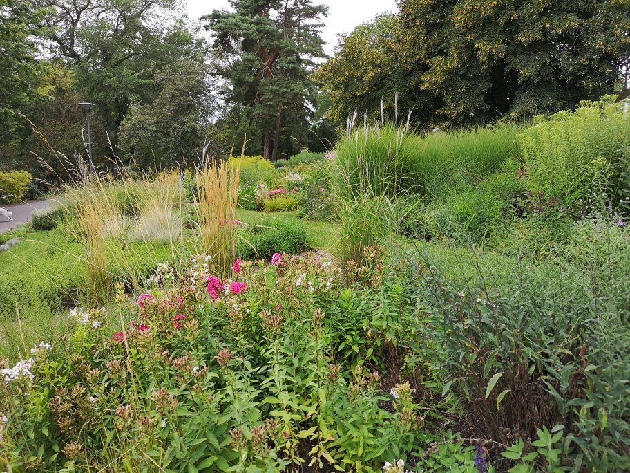 Marienberg-Brandenburg City必去景点