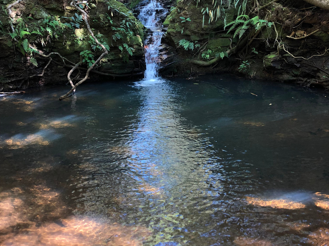 Parque Estadual Furnas do Bom Jesus-Pedregulho必去景点