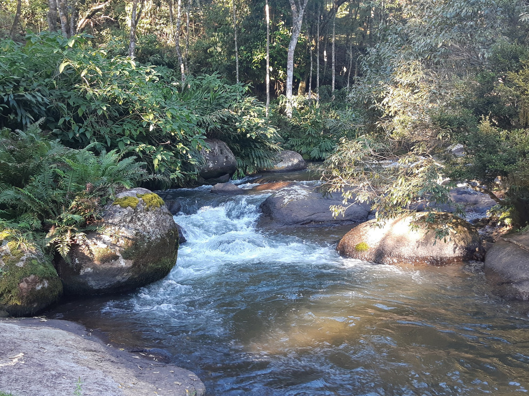 Pousada Solar d'Araucaria主图