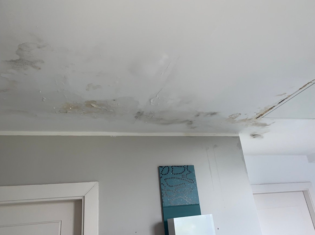 Hotel Playa Vista Mar主图