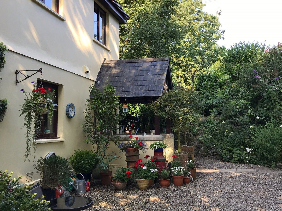 Coedllys Country House B&B主图