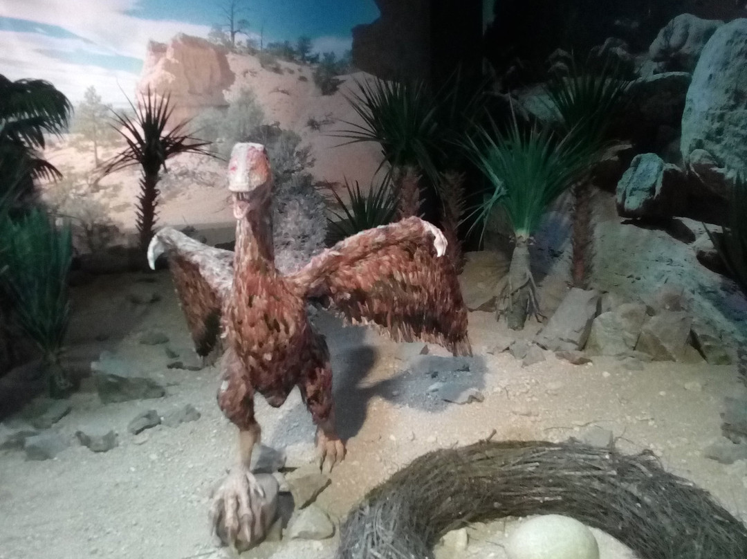 DinoPark Plaza Liberec-利贝雷茨必去景点
