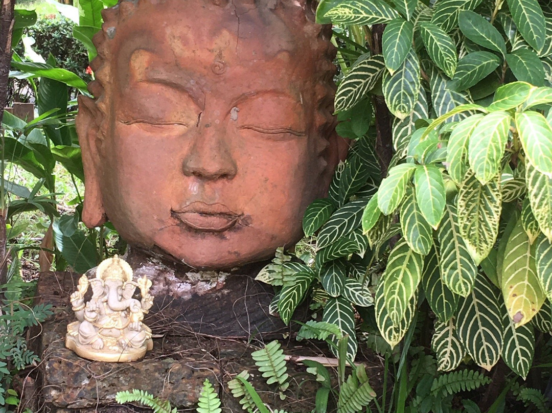 班柴藤酒店主图