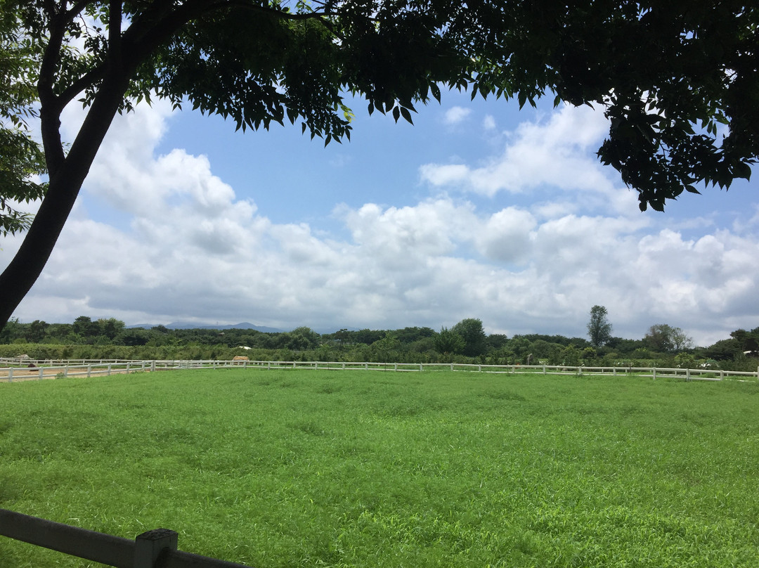 Agroland Taesin Farm-唐津郡必去景点