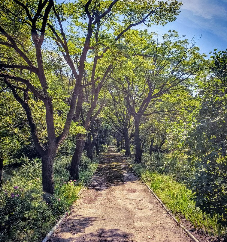 Gagarin Park-Zhytomyr必去景点