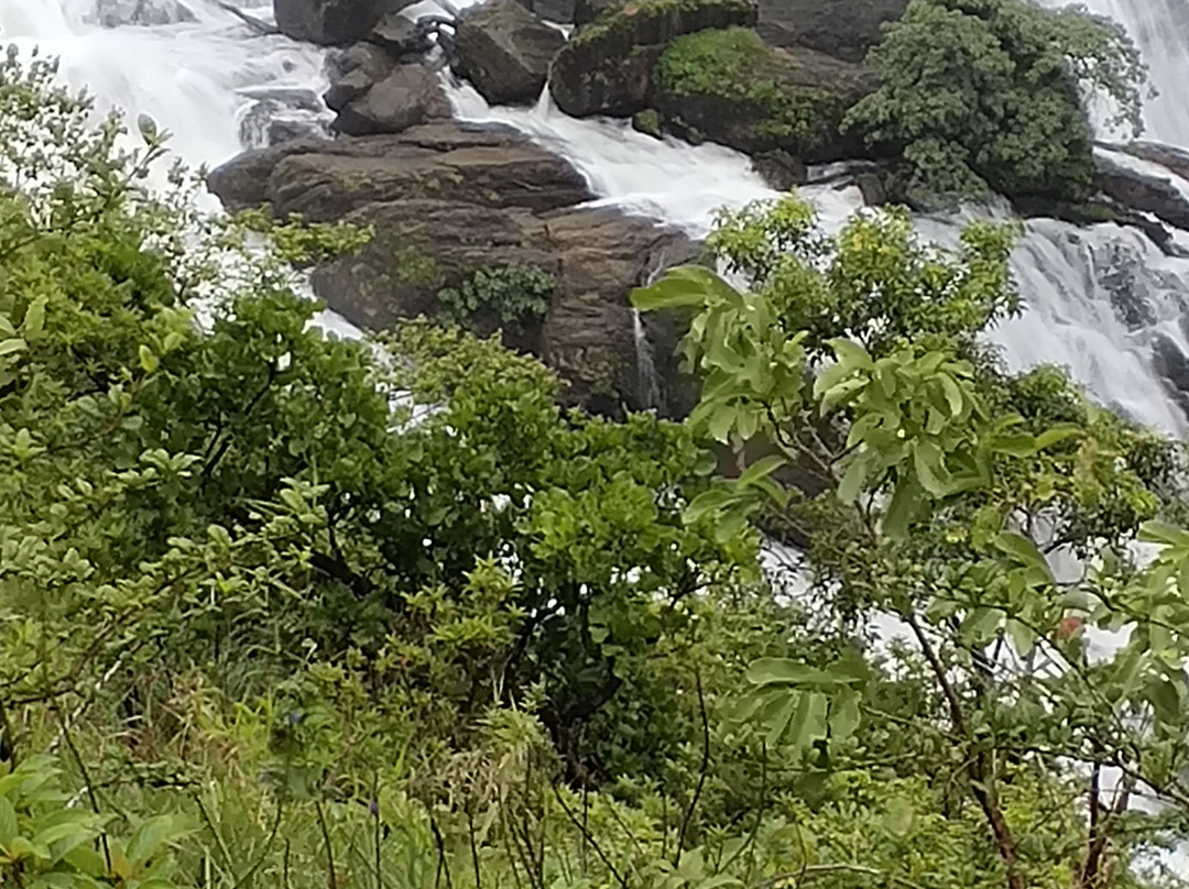 Mallalli Falls景点图片