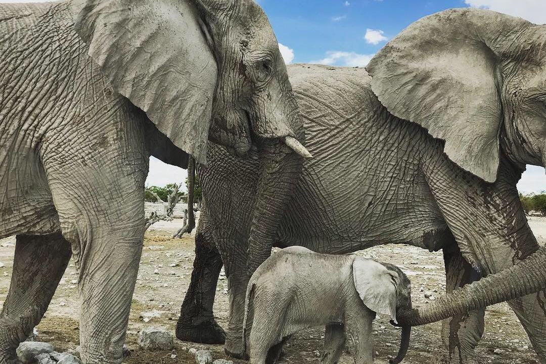 Anchor Adventures Namibia-温德和克必去景点