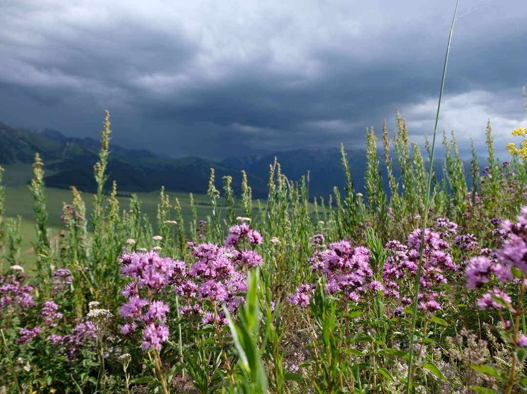 New Way Service-比斯凯克必去景点