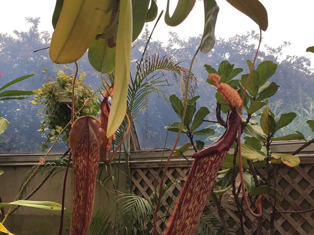 Washington Park-斯普林菲尔德必去景点