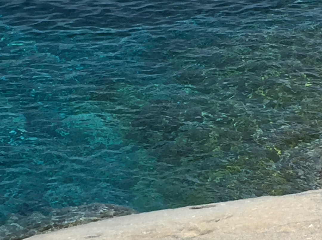 Scogliera del Calello e di Cala Maestrale景点图片