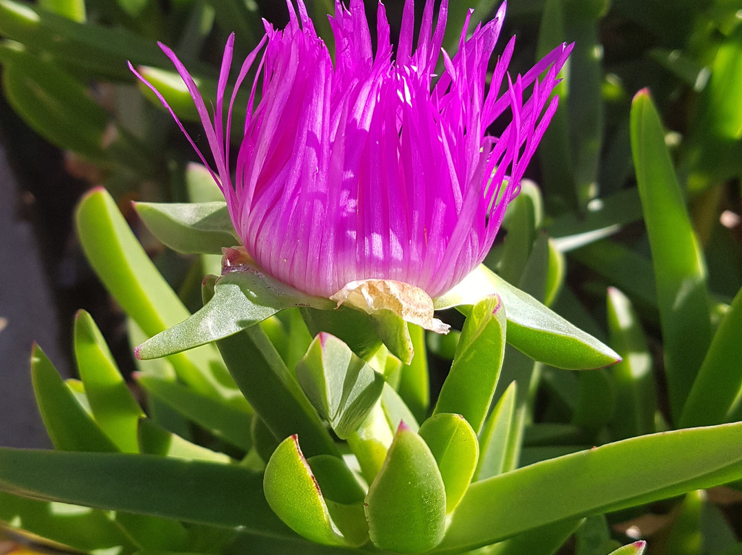 Windhoek Country Club Resort主图