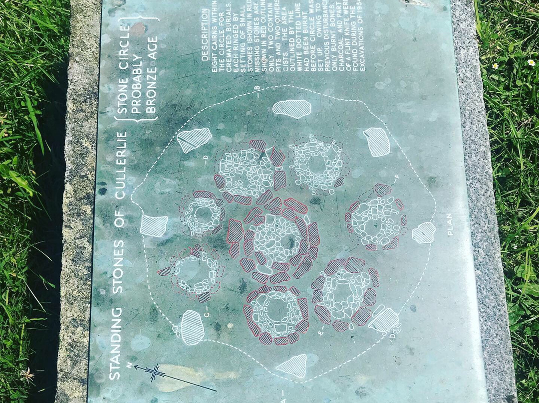 Cullerlie Stone Circle景点图片