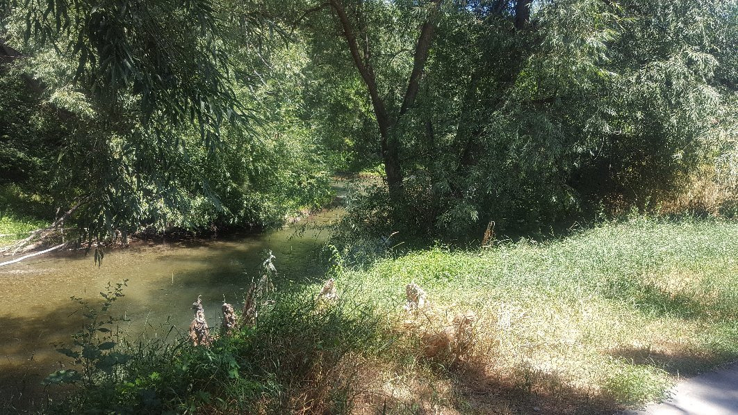 Logan River Trail-洛根必去景点