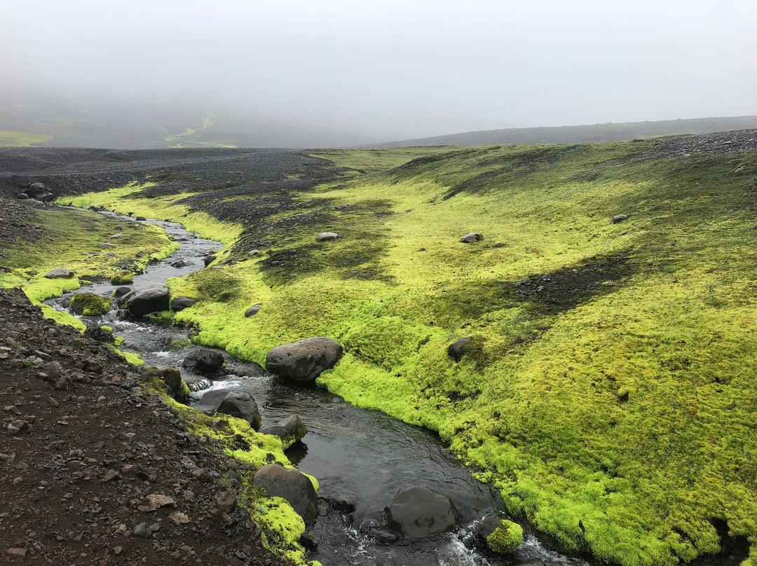 Laugarfell-埃伊尔斯塔济必去景点