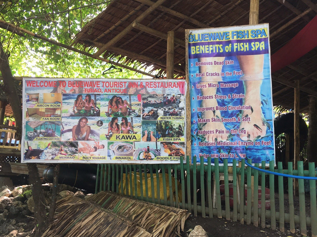 Blue Wave Tourist Inn Tibiao主图