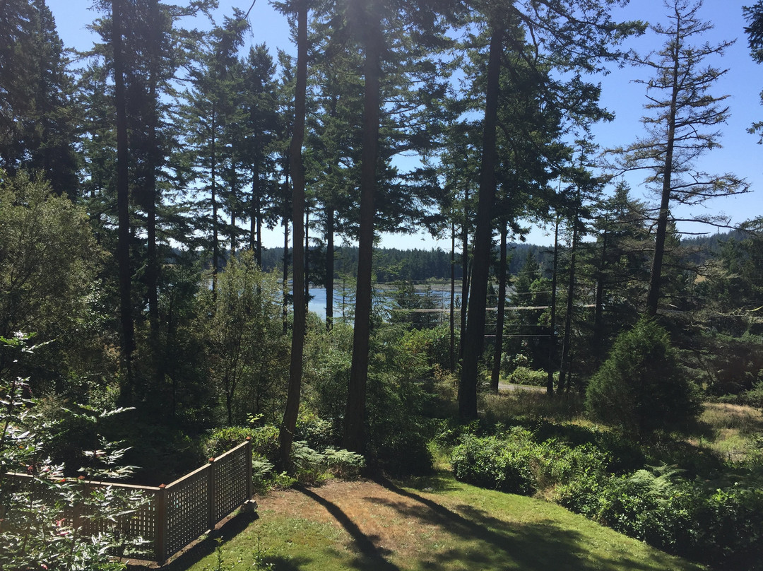 Inn to the Woods主图