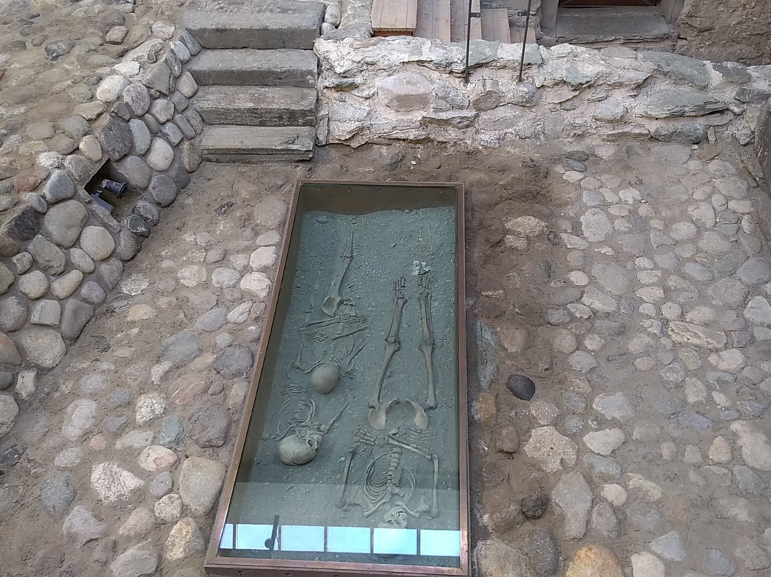 Trondheim Public Library-特隆赫姆必去景点