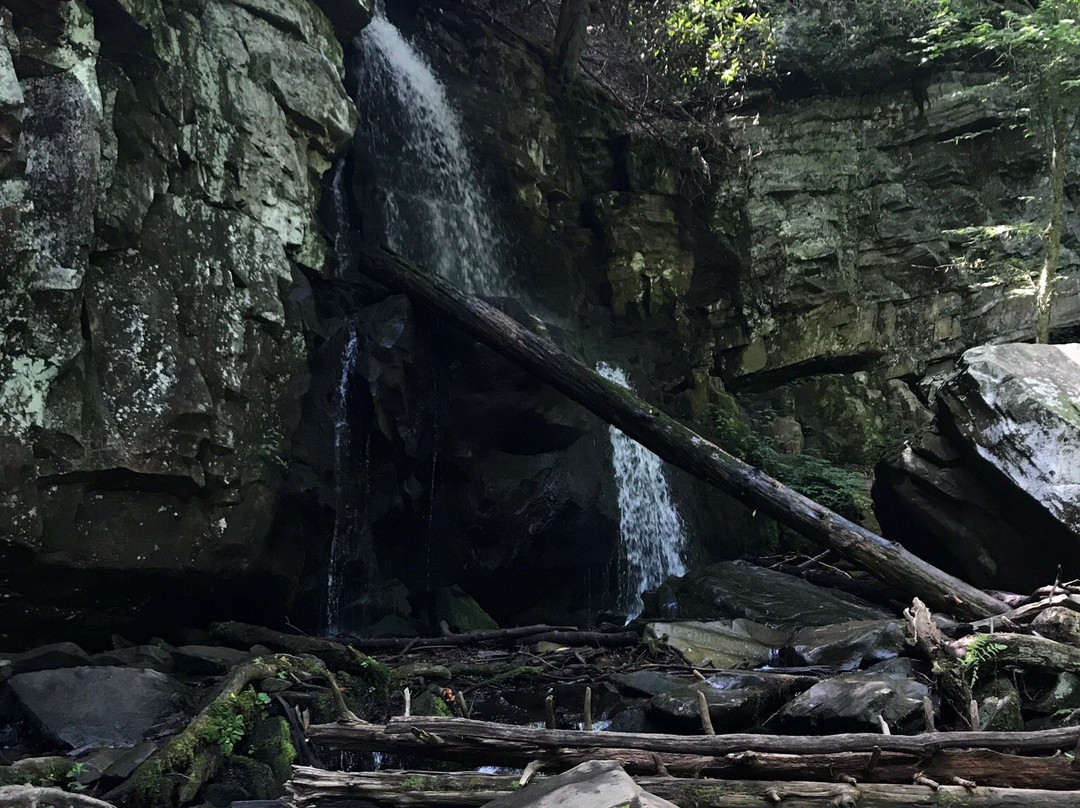 Baskins Creek Falls-大雾山国家公园必去景点