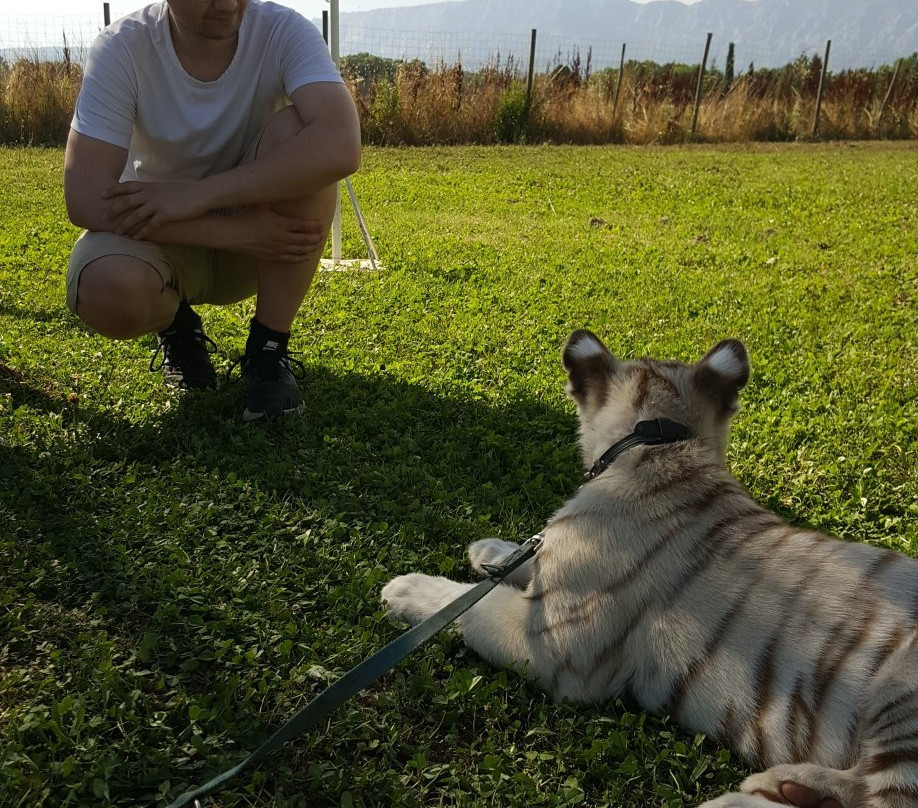 Parc Animalier De La Sainte Victoire景点图片