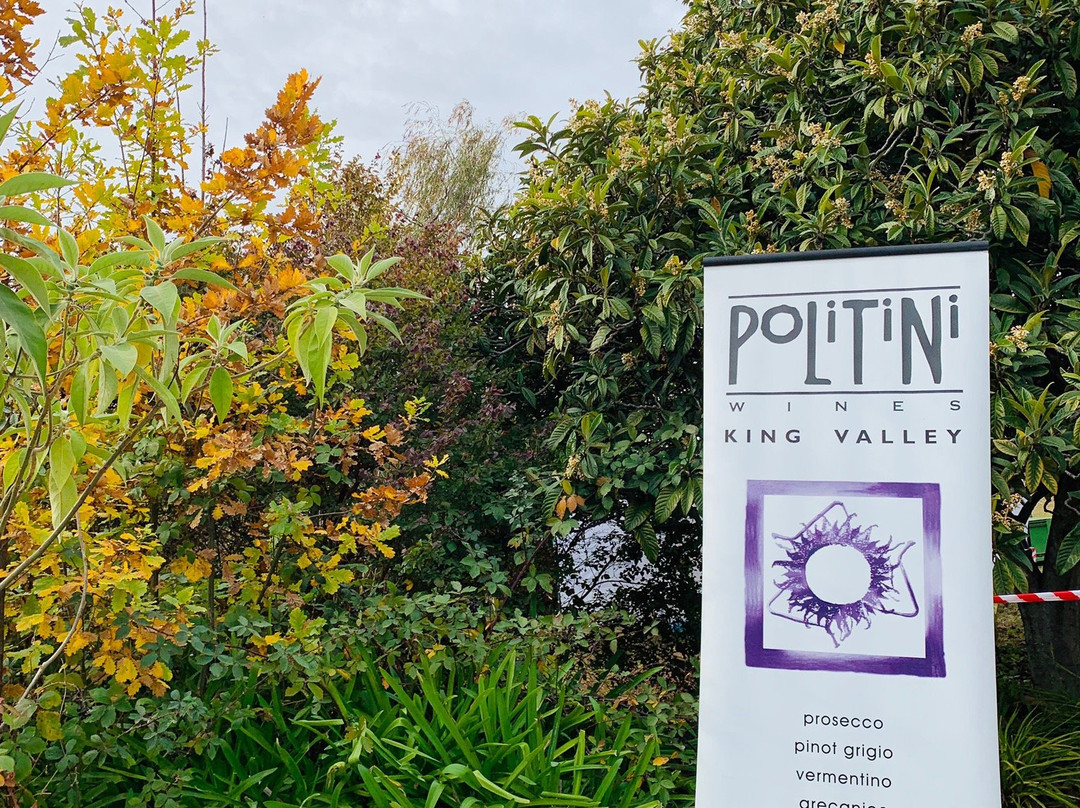 Politini's Vineyard景点图片