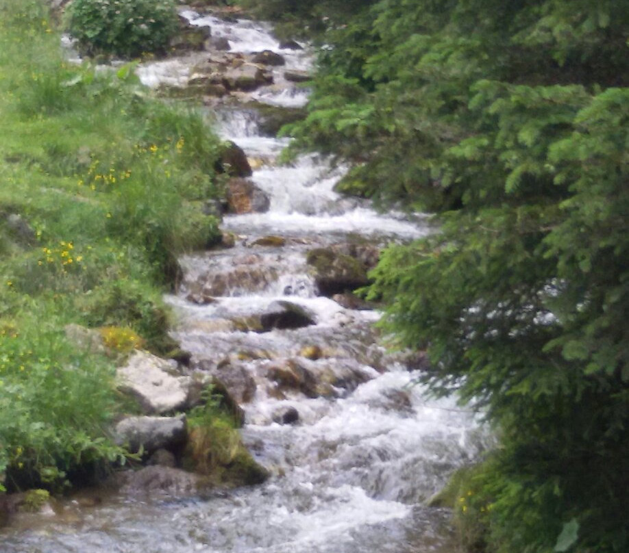 LercherAlm Oberwielenbach-Perca必去景点