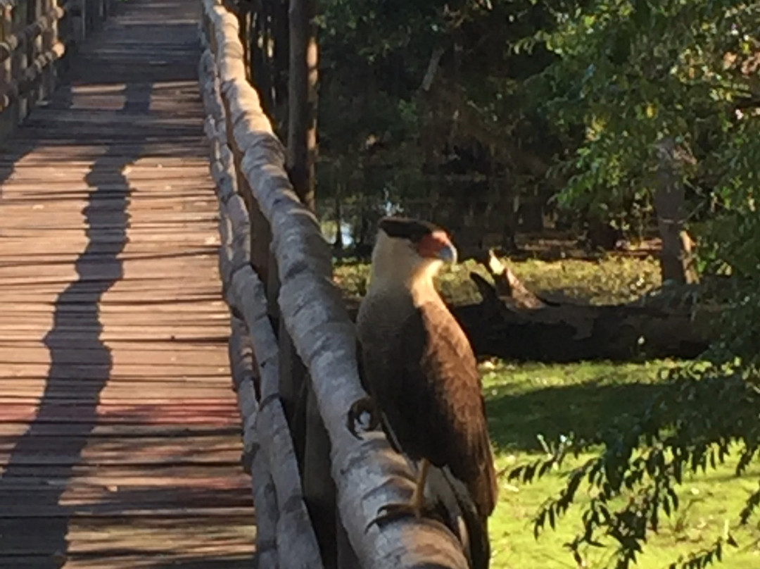 Passo do Lontra Parque Hotel主图