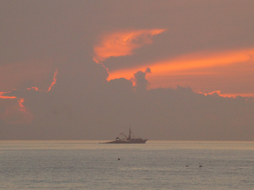 Magic Beach Motel主图