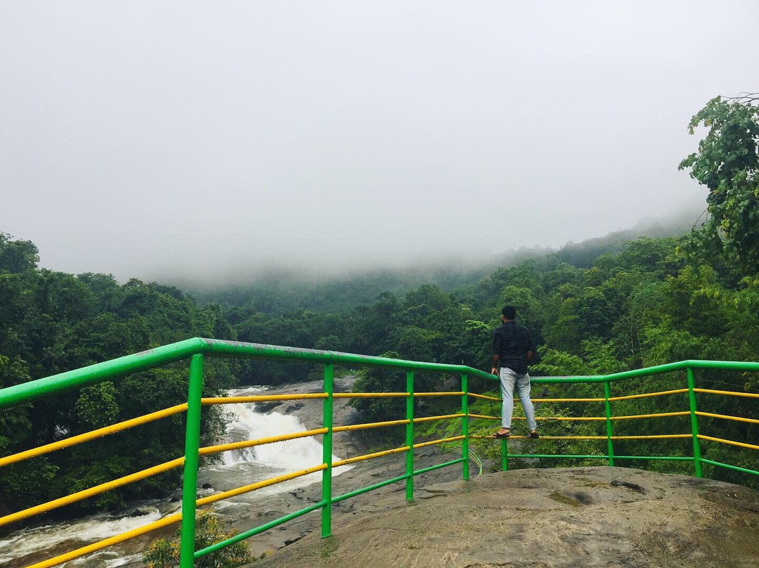 Adyanpara Waterfalls景点图片