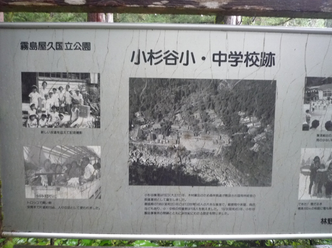Ruins of Kosugidani Village景点图片
