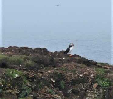 Round Da Bay Inn主图