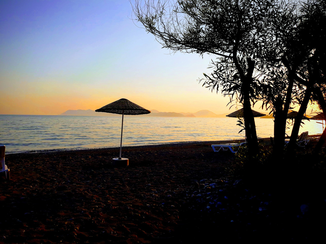 Katranci Park Hotel主图