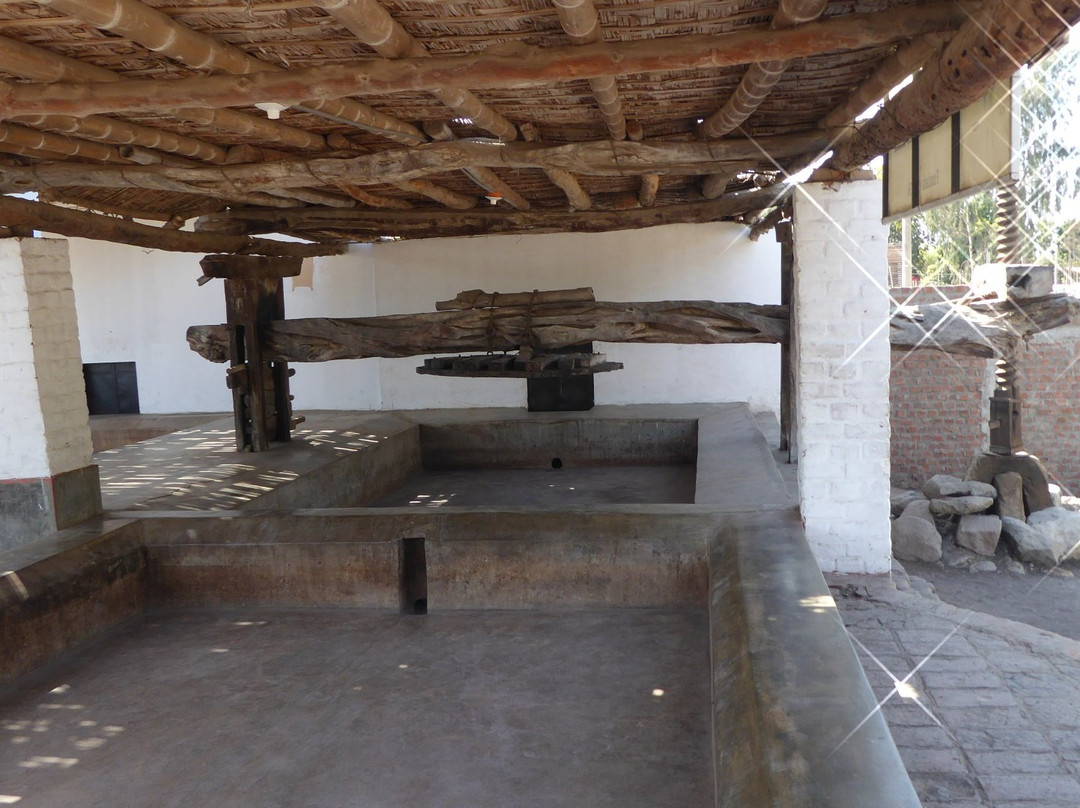 Bodega Tres Generaciones-伊卡必去景点