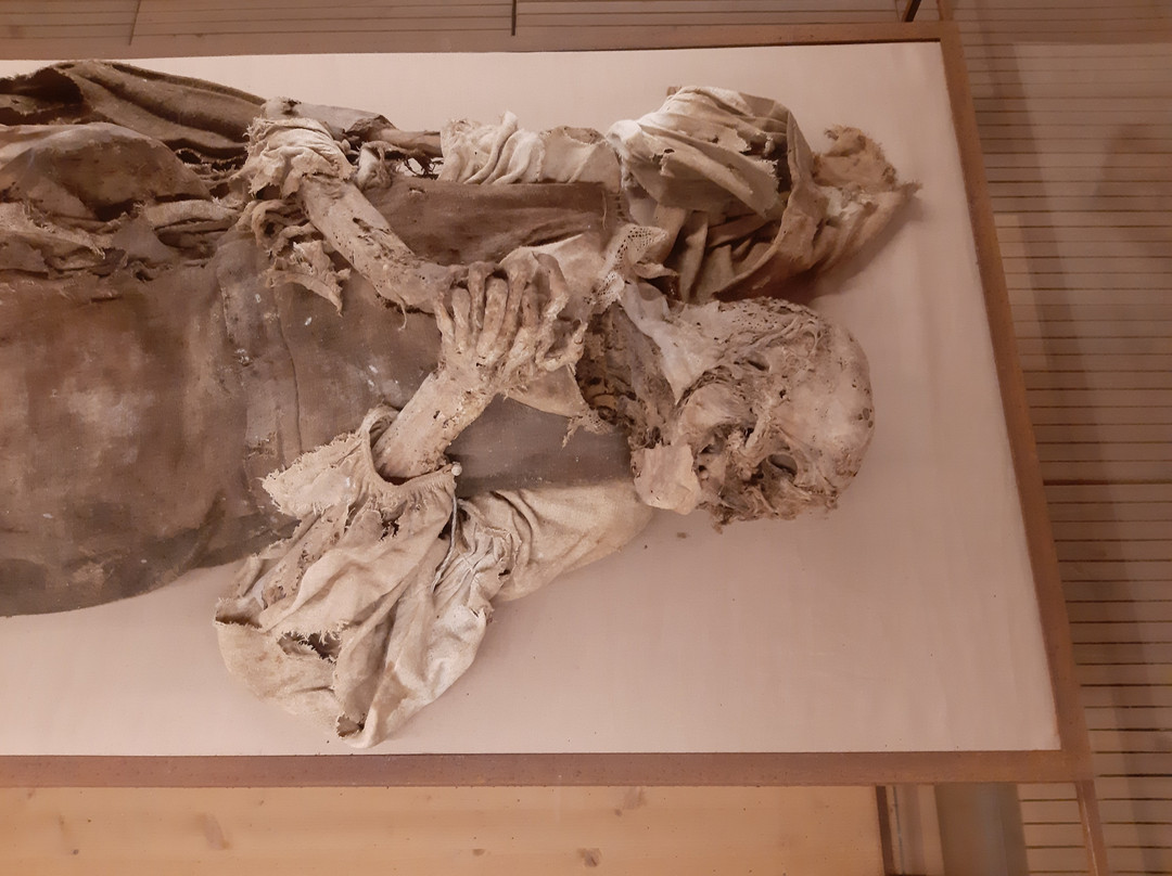 Museo della Cripta - Le Mummie di Monsampolo景点图片