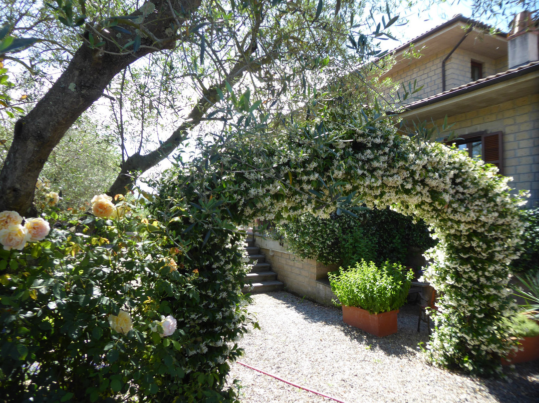 CasaRemi Farmhouse主图