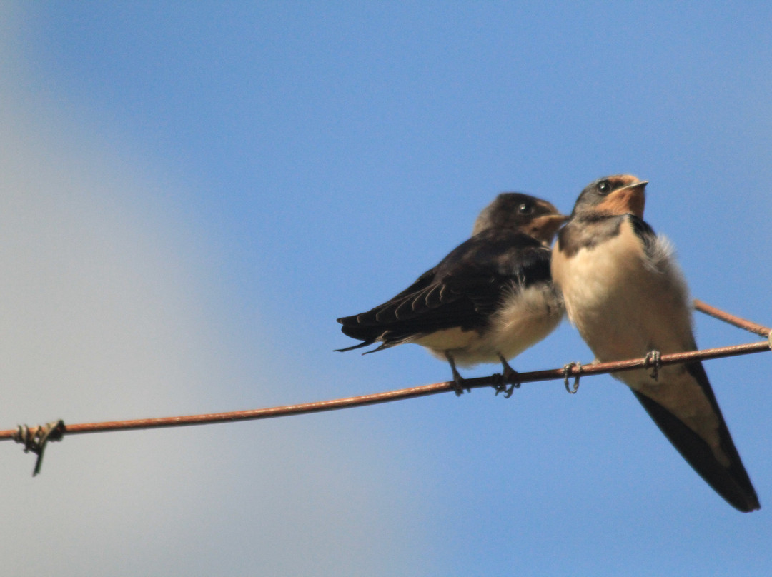 Quinta de Favaes主图