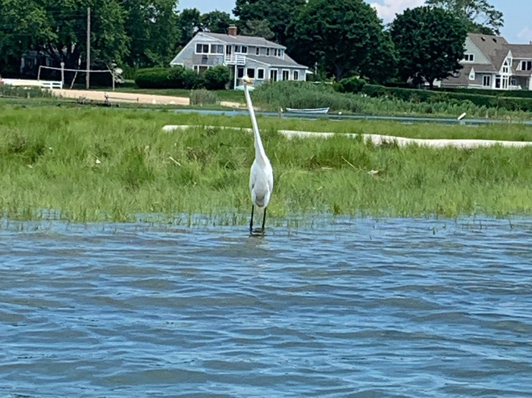 Indian River Marina-Clinton必去景点