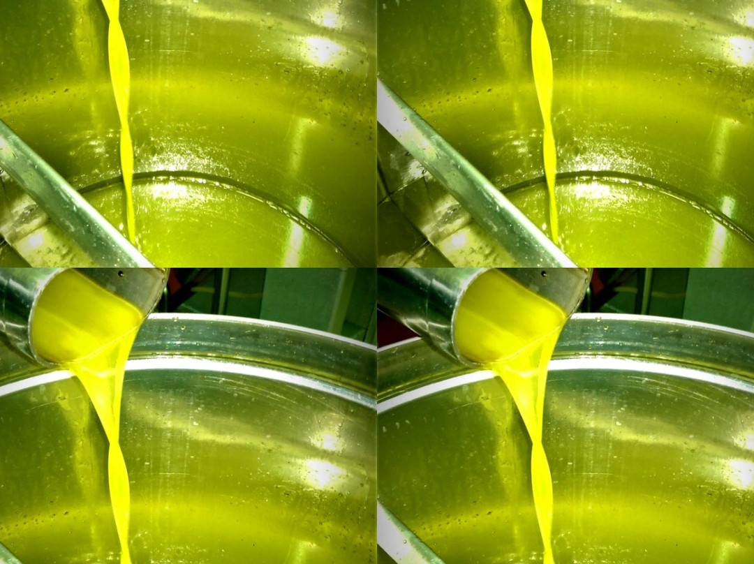 Sv. Ivan olive oil mill-佛迪赛必去景点