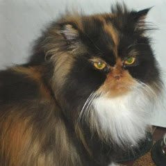 Pordic旅游攻略图片