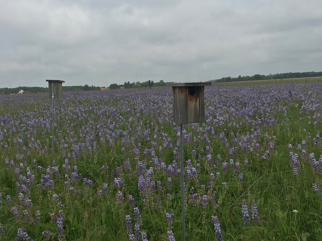 Carpenter St. Croix Valley Nature Center景点图片