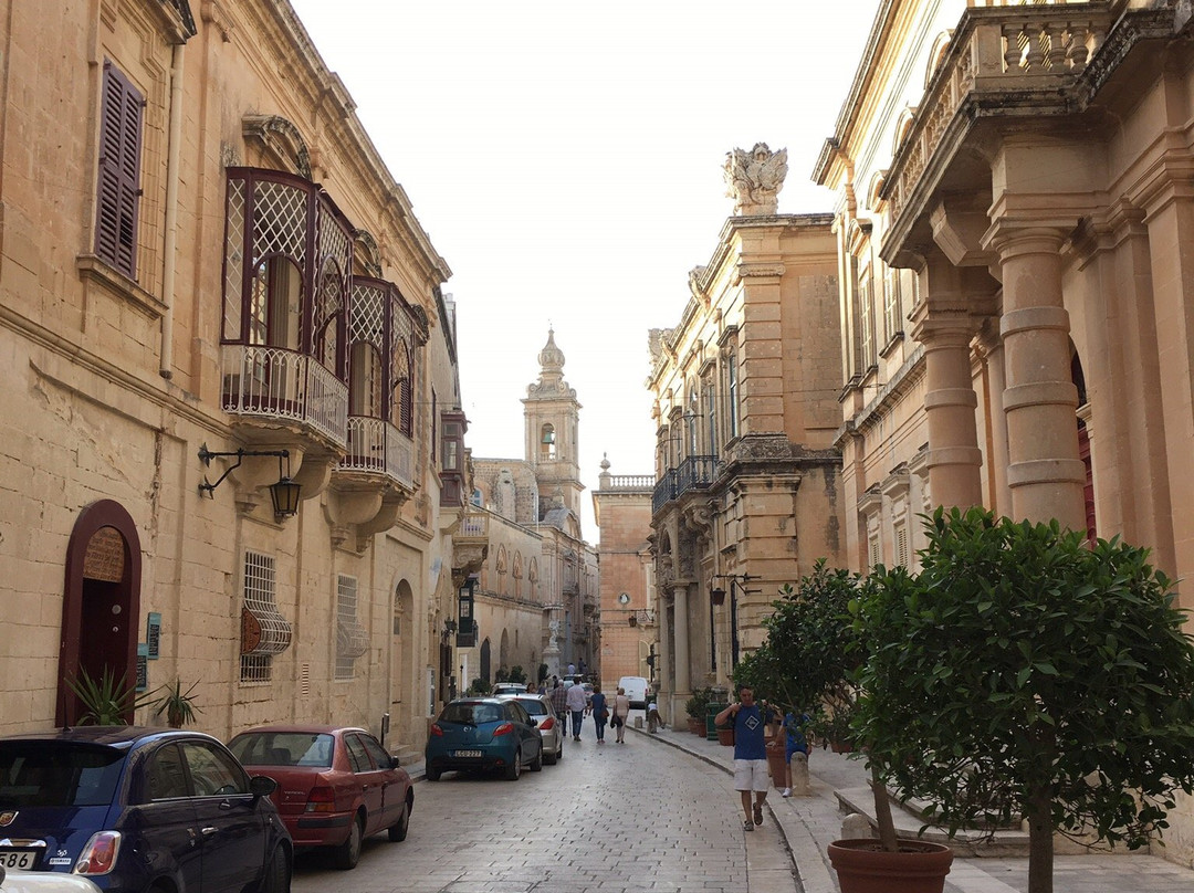 Malta Professional Guide景点图片