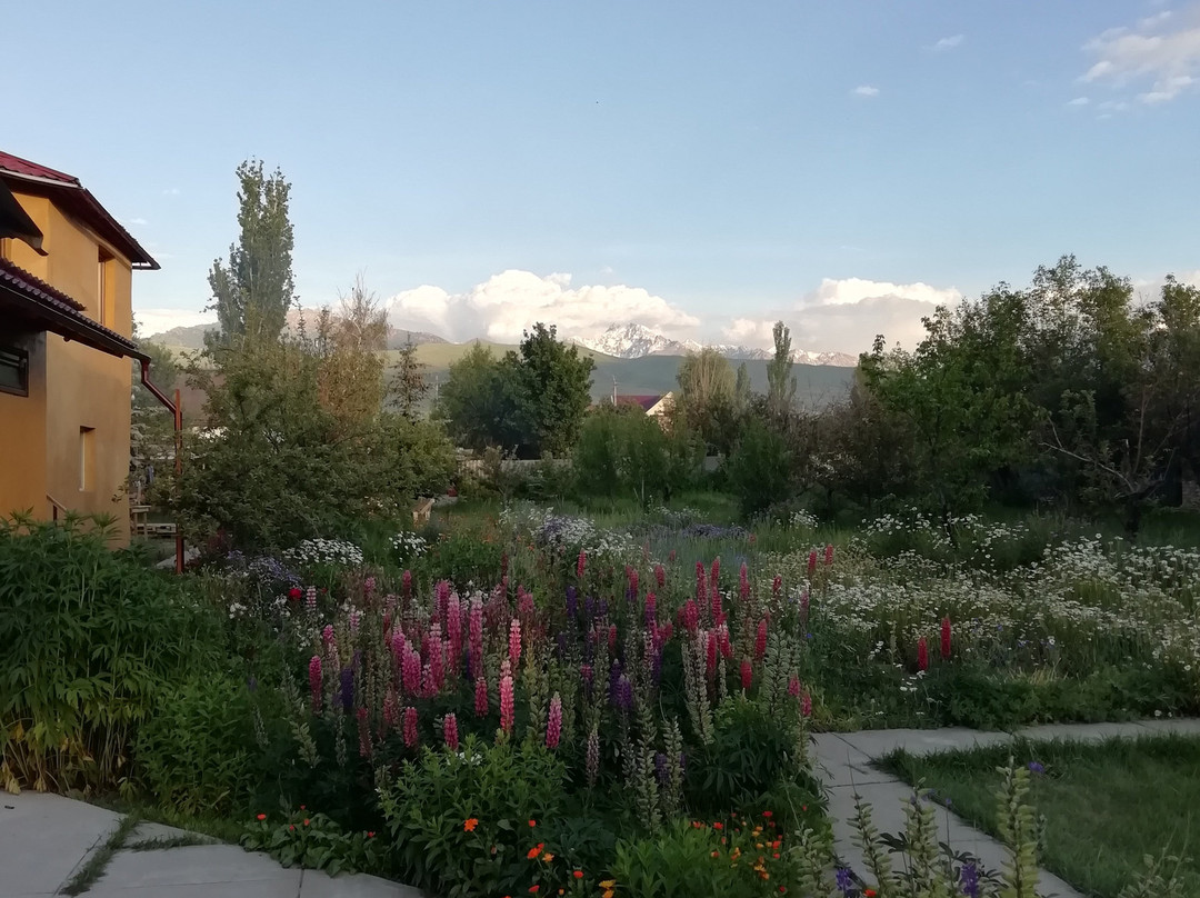 Memo's Boutique Guesthouse主图