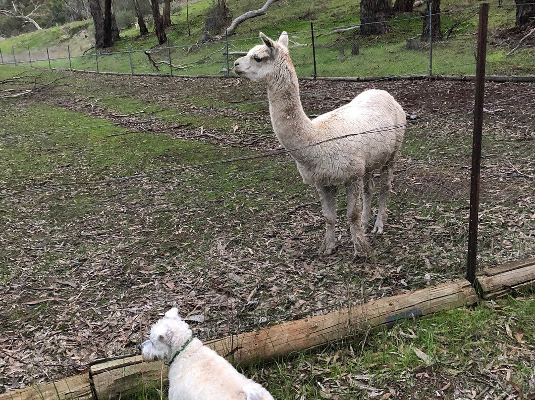 Wuthering Heights主图