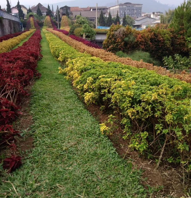 Rainbow Garden-连旺必去景点
