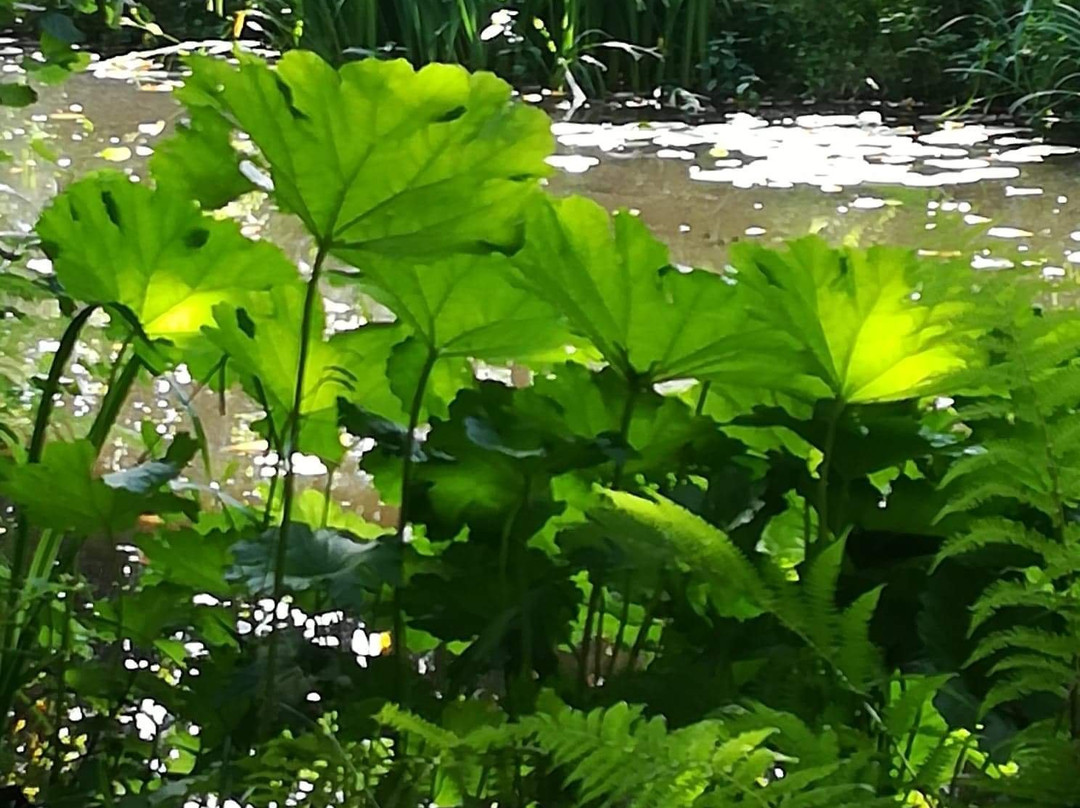 Parc du Sarrat-达克斯必去景点