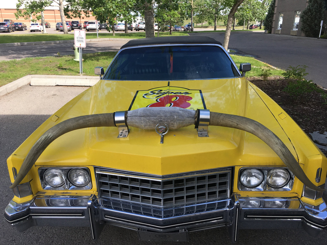 Super 8 by Wyndham Calgary Shawnessy Area主图