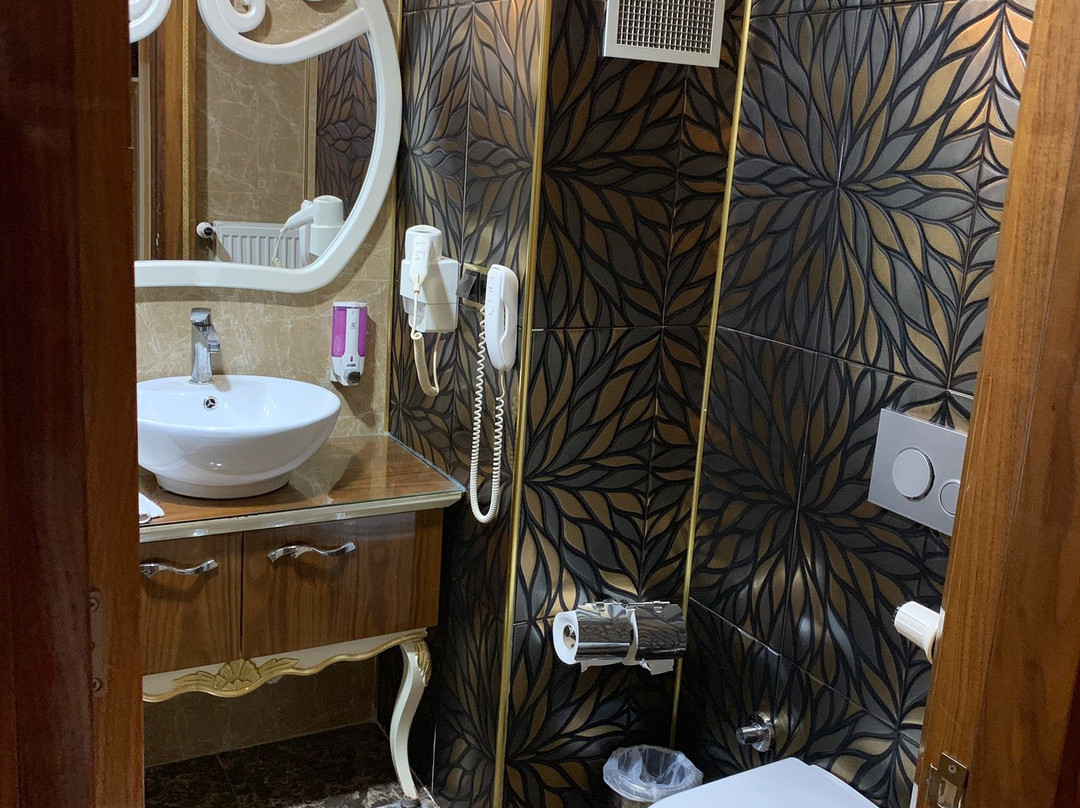 Basmacioglu S-Class Hotel主图