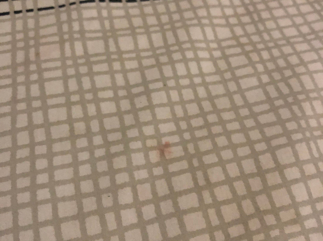 Cootamundra Gardens Motel主图