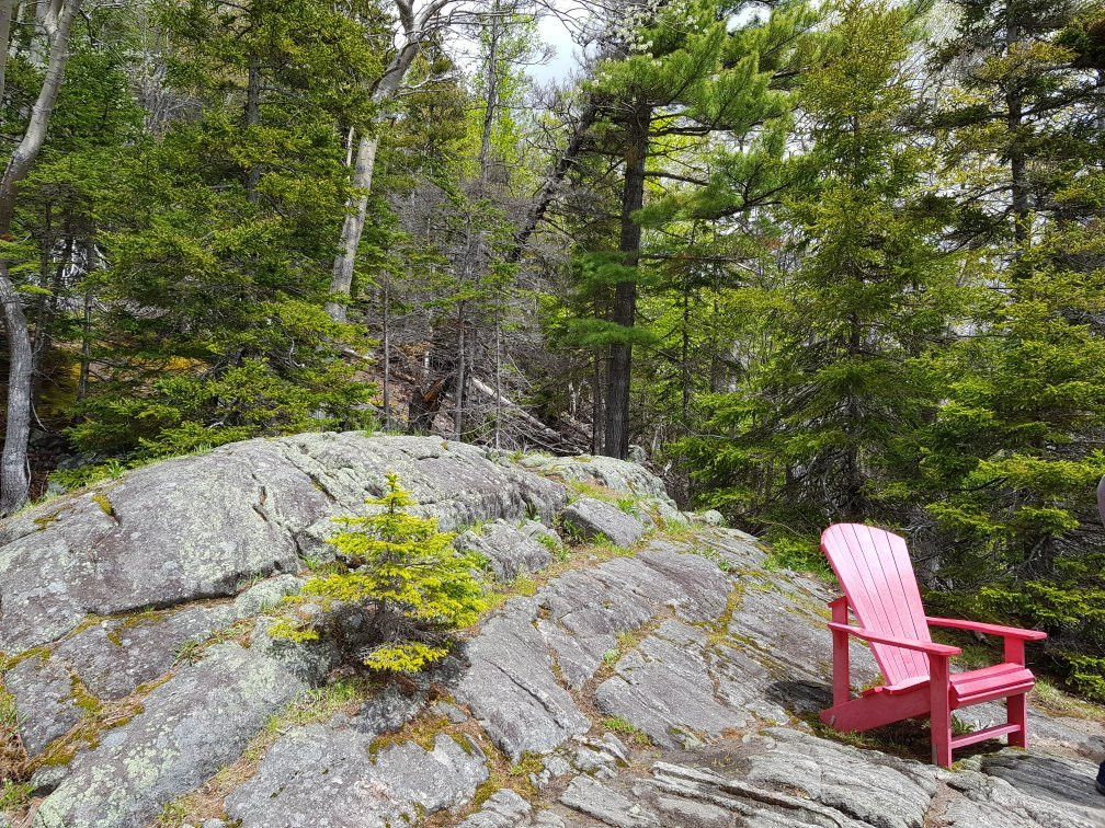 Freshwater Lake Lookoff-Cape North必去景点